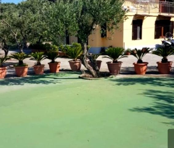 Casale I Tre Diamanti Apartment Massa Lubrense Exterior photo